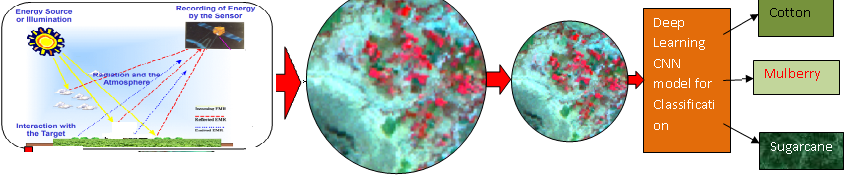 remote sensing of crops