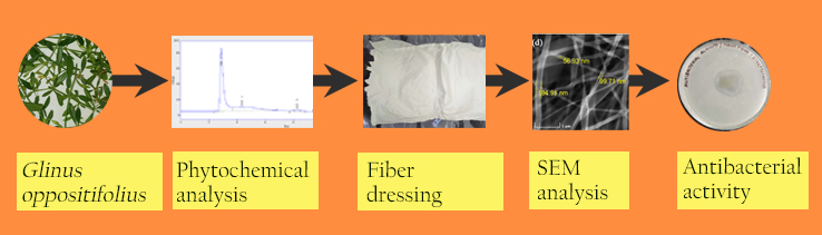 nanofiber antibacterial property
