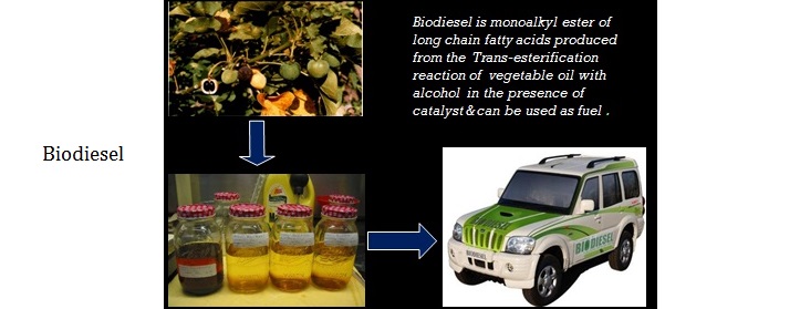 Biodiesel