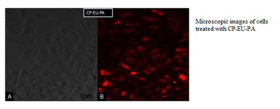 Europium nanophosphors