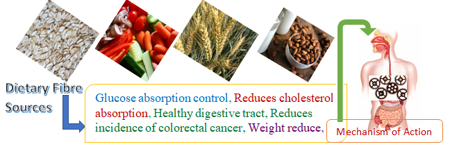 food fiber mechanism