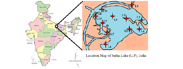 Surha lake